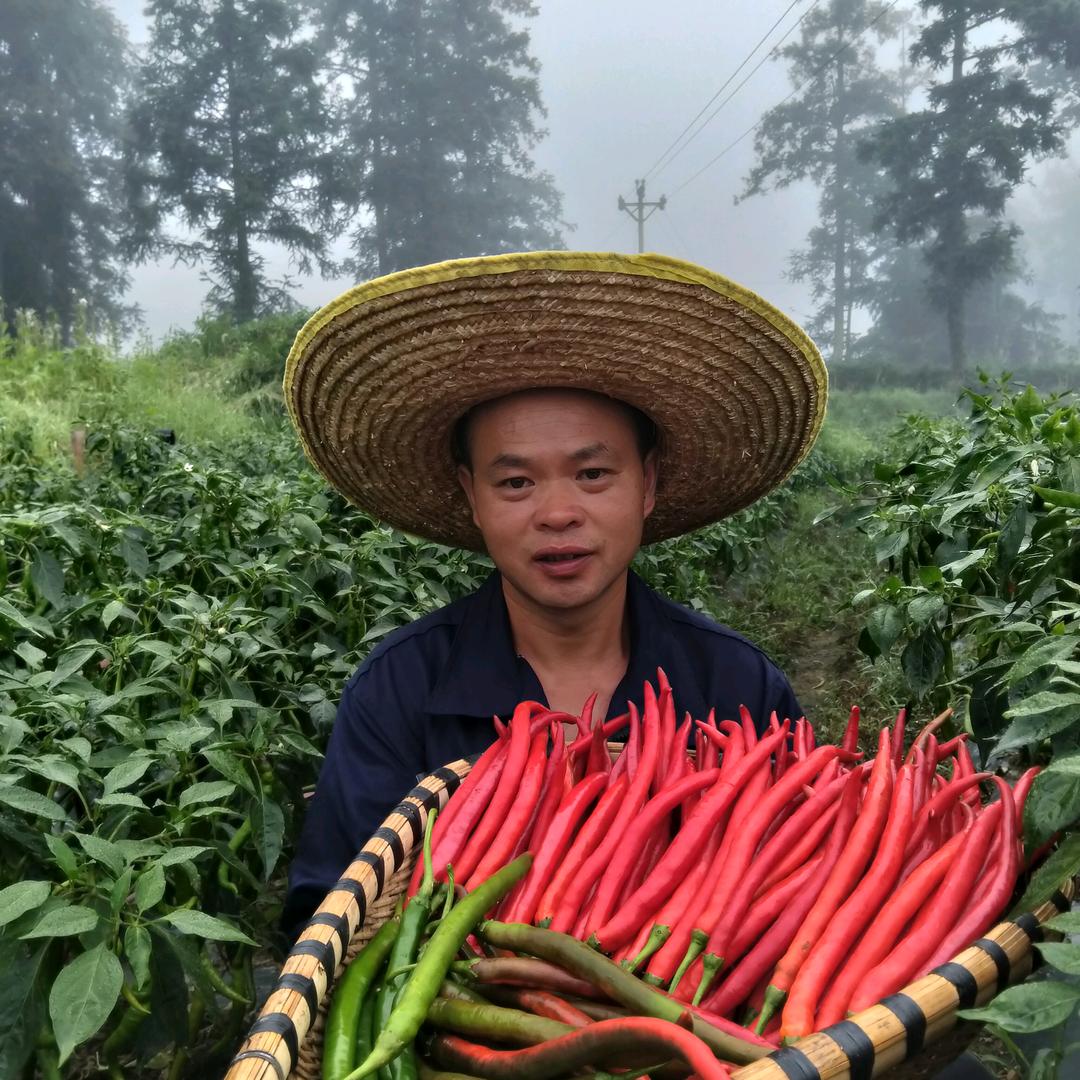贵州乡下哥