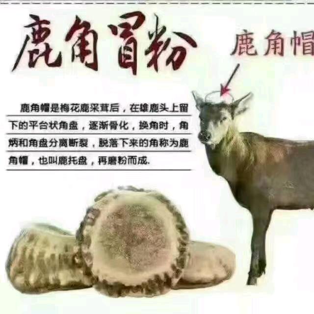 无心者无痕