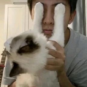 林苼