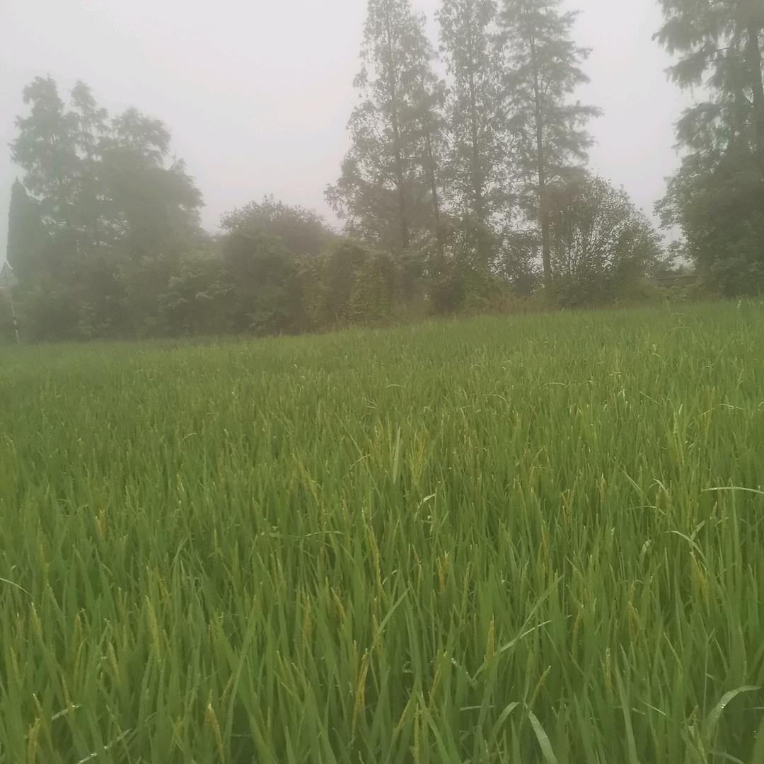 心情好