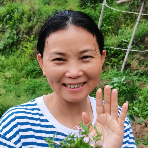 客家张姐🍀讲土方1