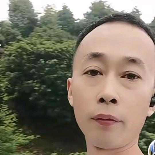 散落星河的记忆