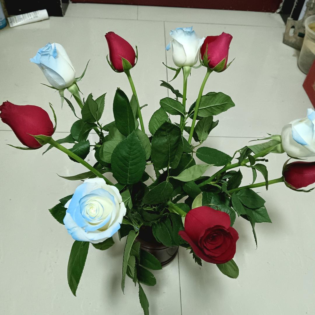 余生很贵，请不要浪费