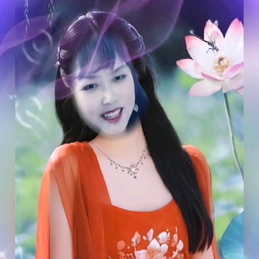 牡丹花