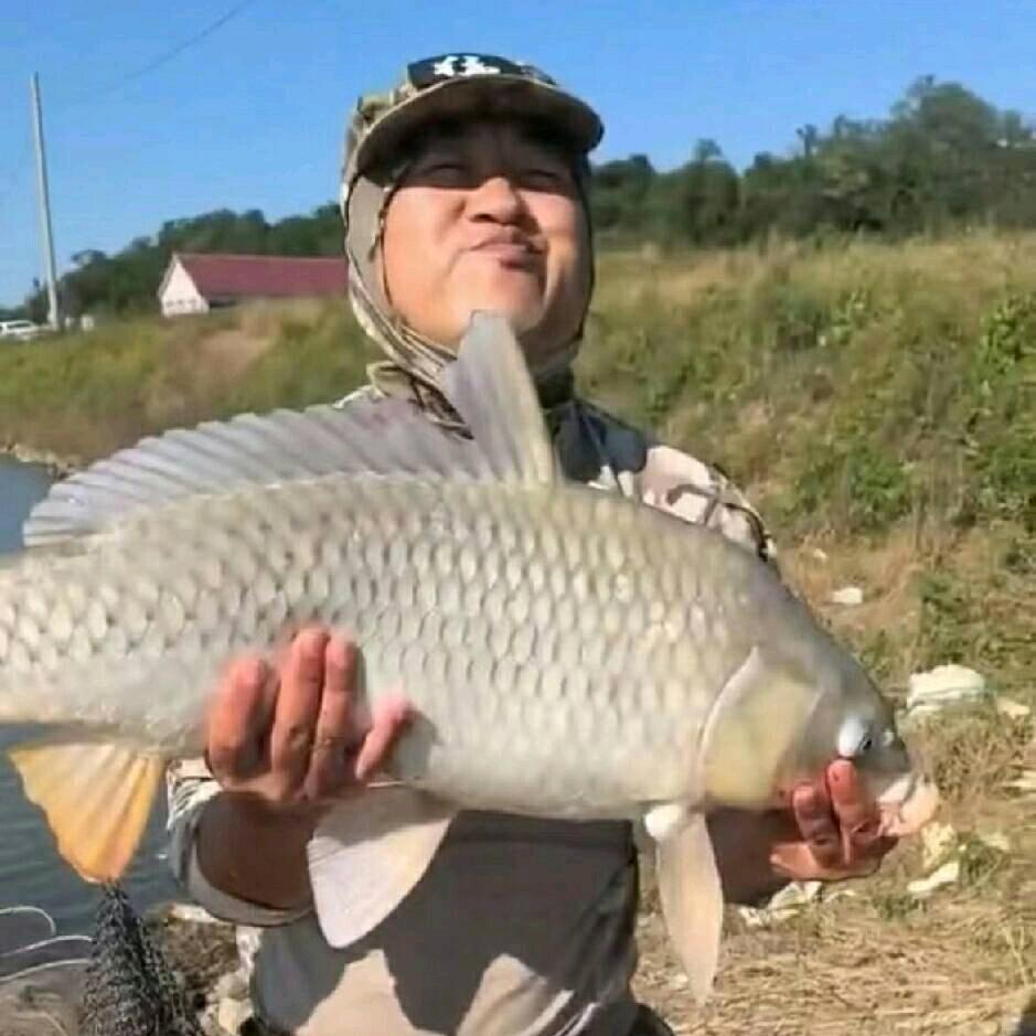 插当钓爱好者