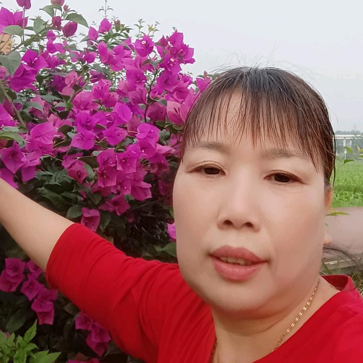 谁来跟彭姐开直播