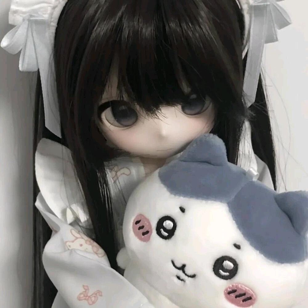 ㅤㅤㅤㅤ︃ㅤ︃︅