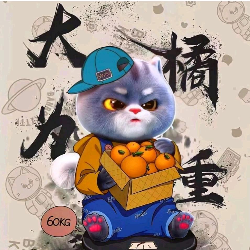 毋庸置疑