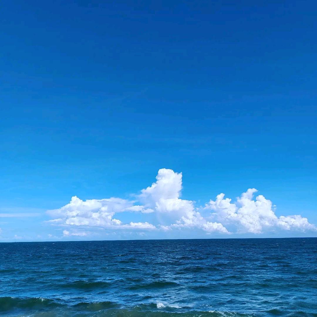 江城第一深情