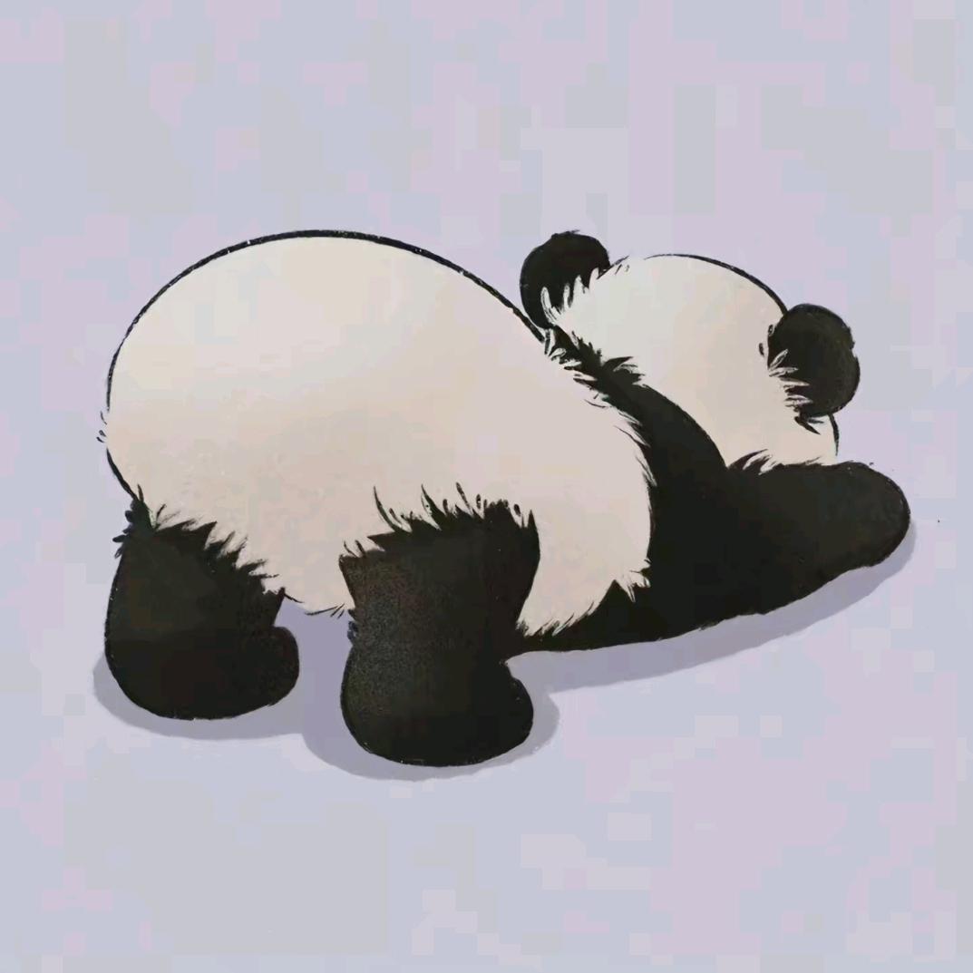 小猫老师