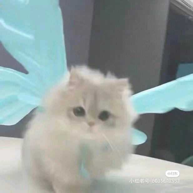 话疏语墨