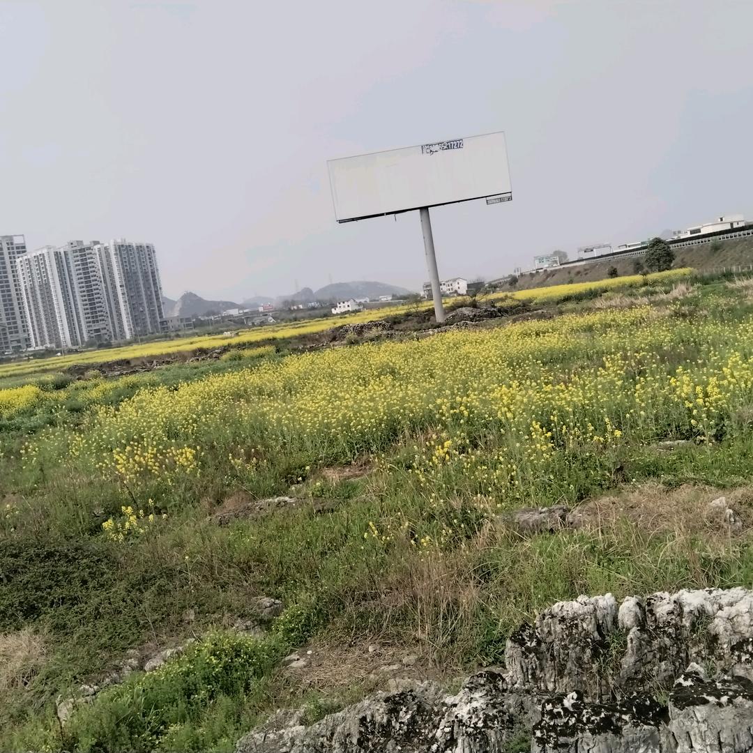 苦命一人