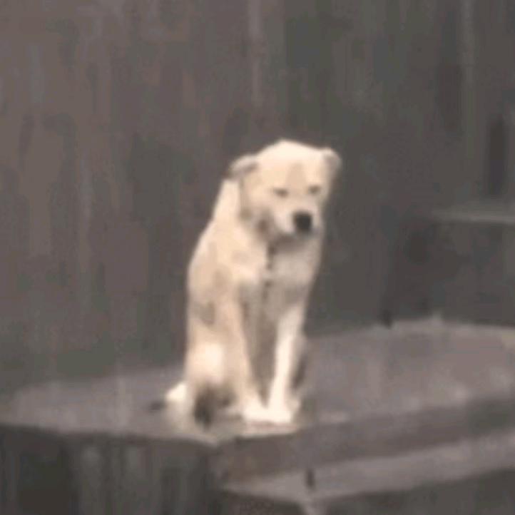 不刷米