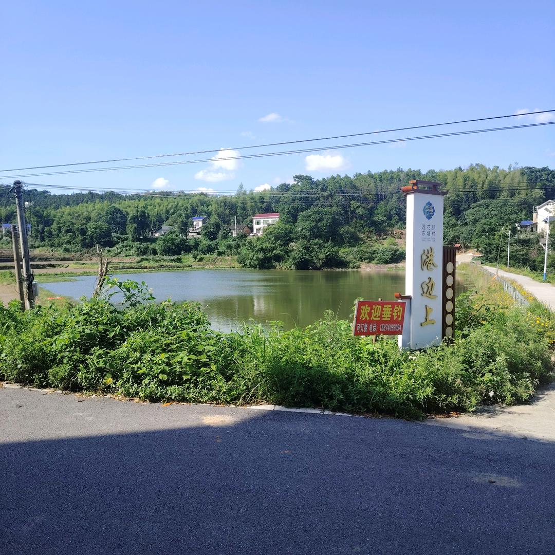 东塘野生态休闲垂钓