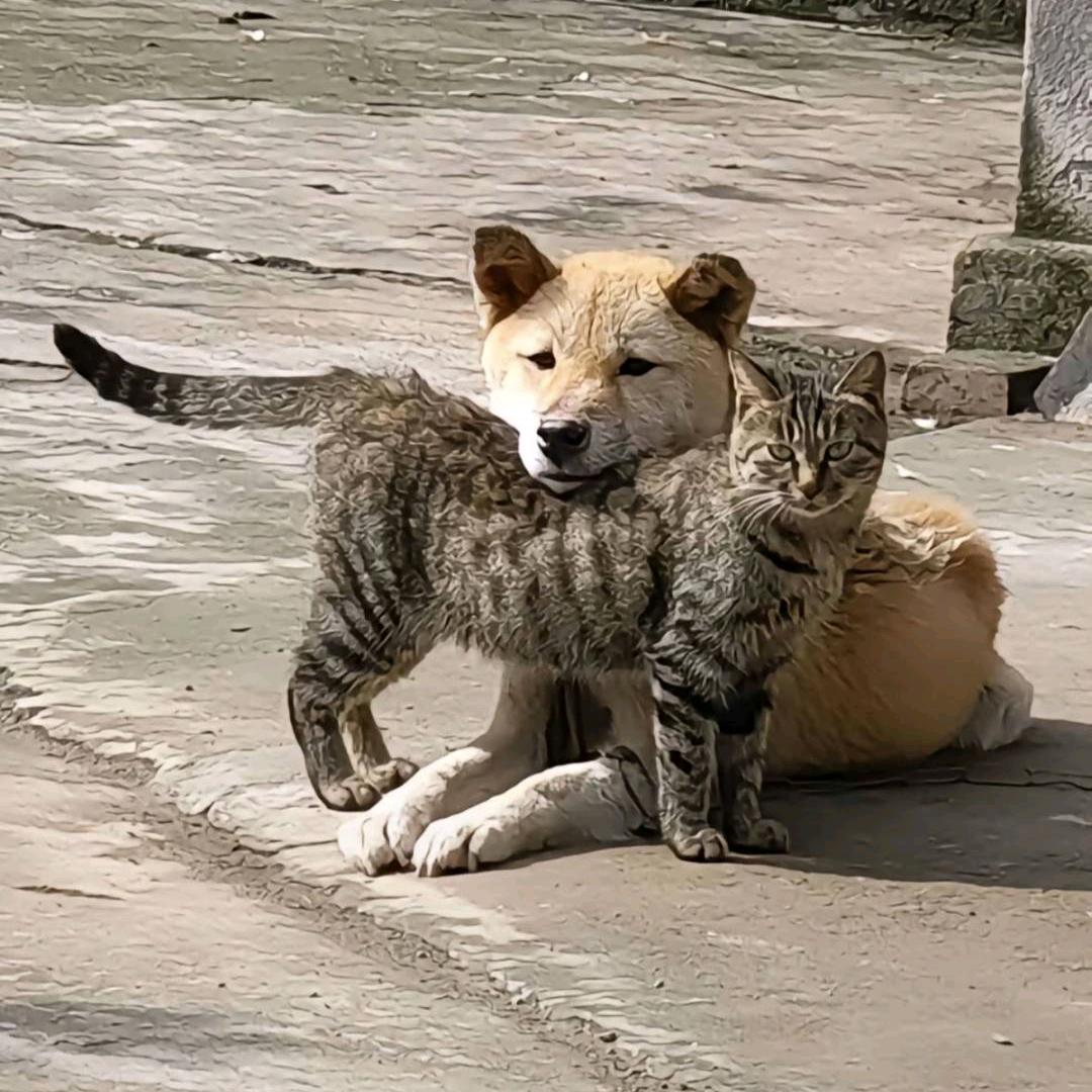 按下不表