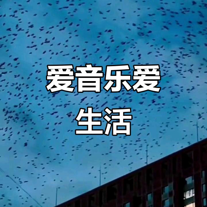 范先生