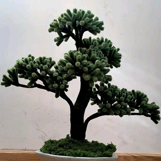 真爱一世情