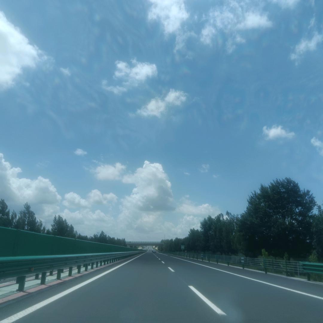 甜菜植保万里行