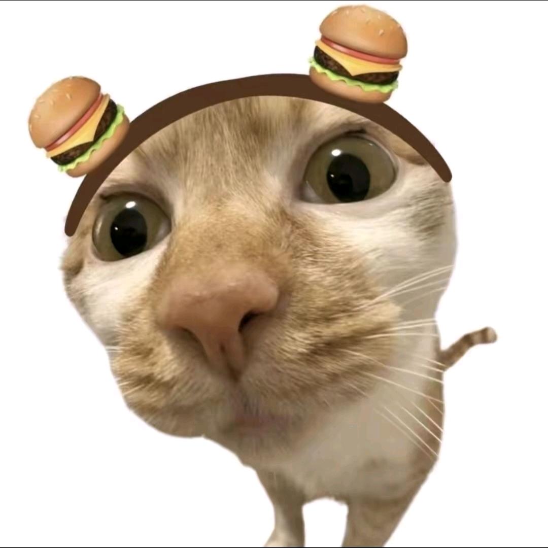 什么