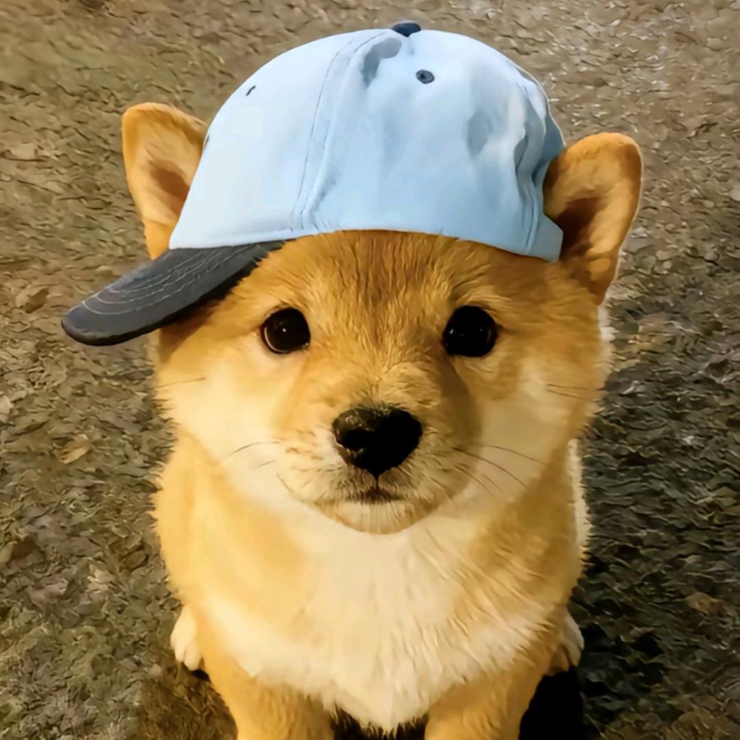 纯情蟑螂火辣辣