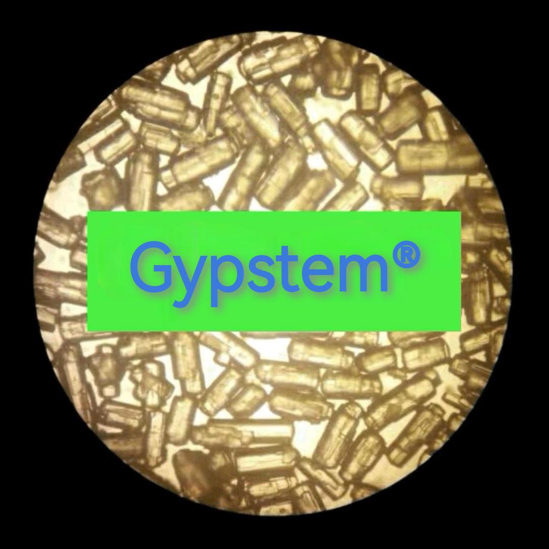 石膏材料科学&工程技术Gypstem®