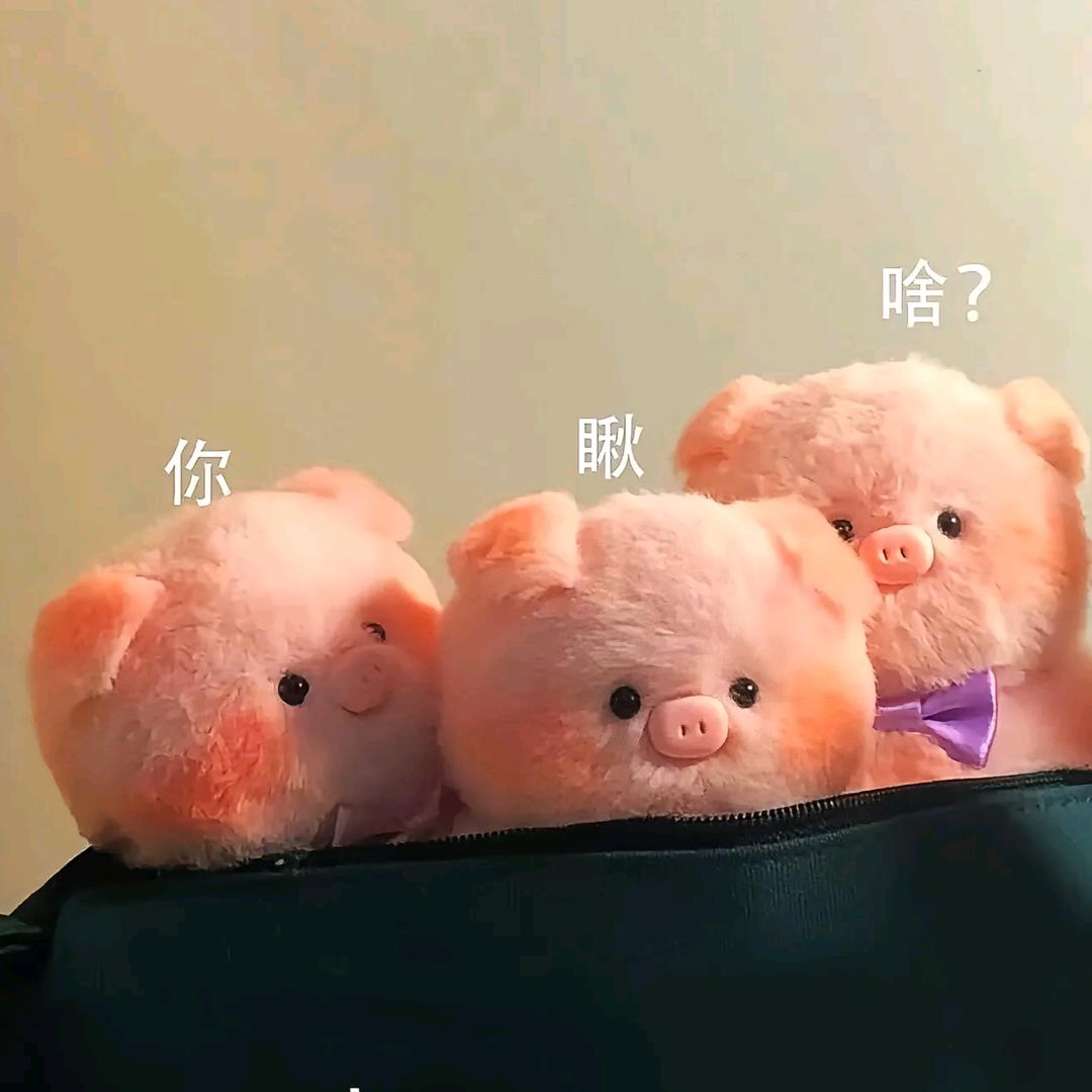 小鱼