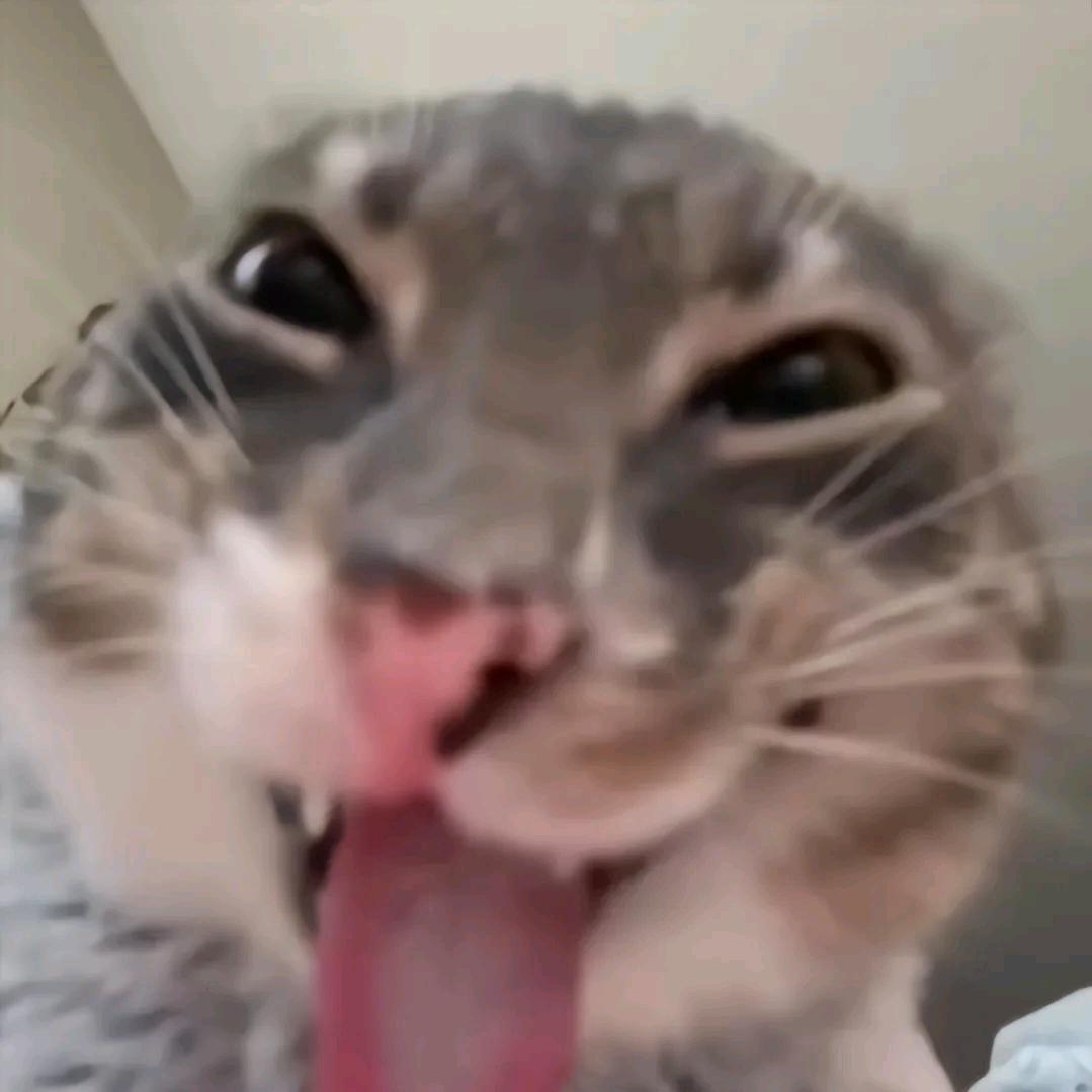 Ysss
