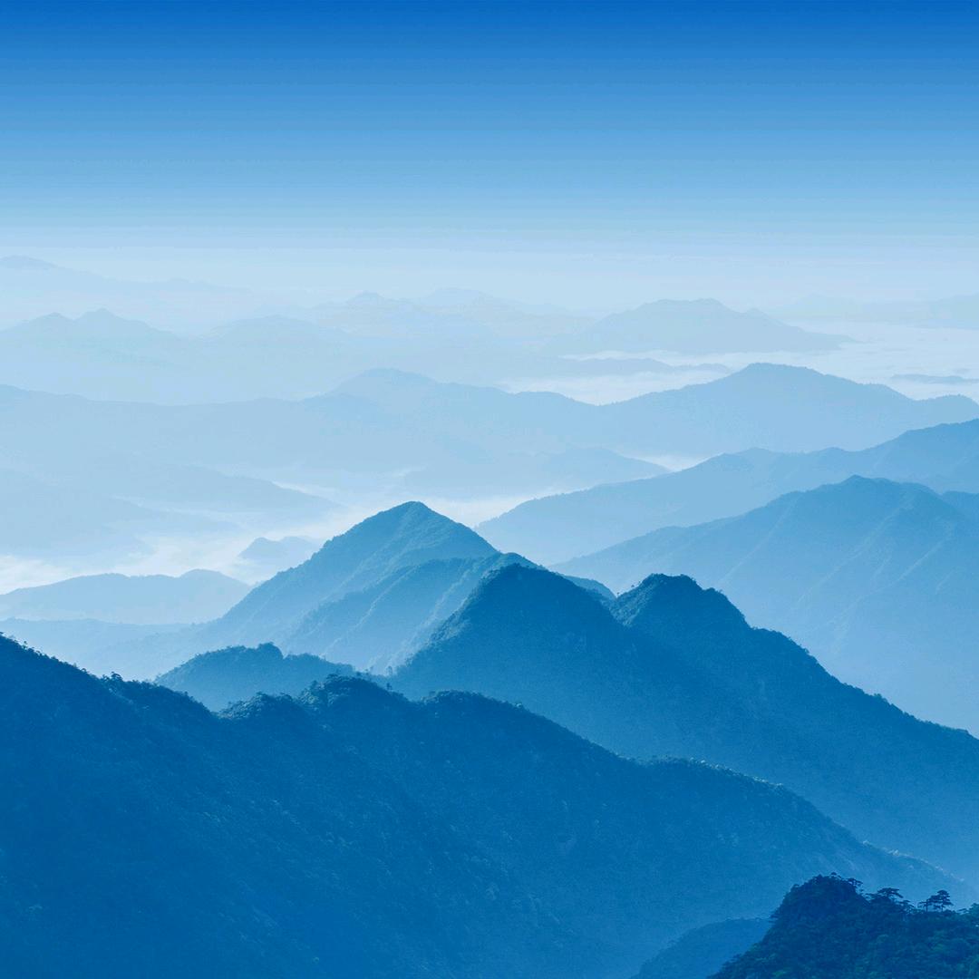 福蛋