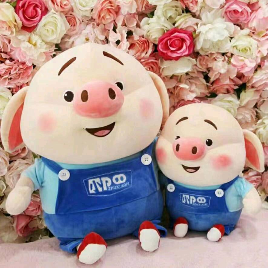 ɞ͜͡朱先生༉ᩚ᭄