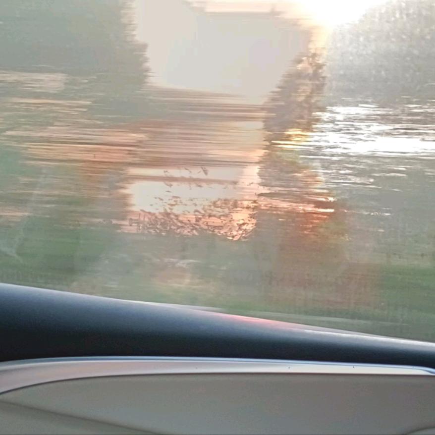 小鱼小鱼闯天下