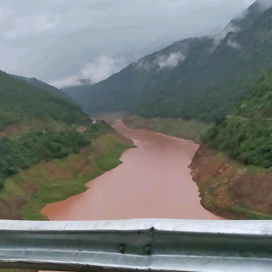 绝情花👫👯💑相逢