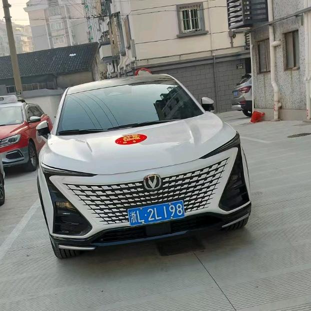 扑鱼龙哥