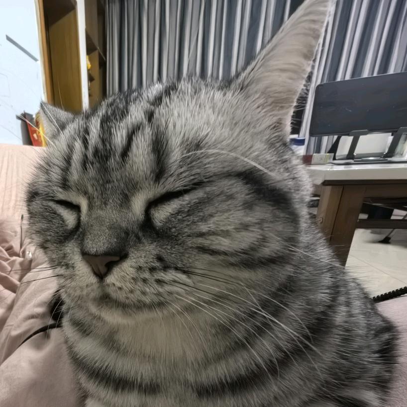 周拾柒