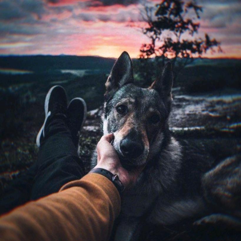 -𝒴𝒶𝓁𝓀𝓊𝓃