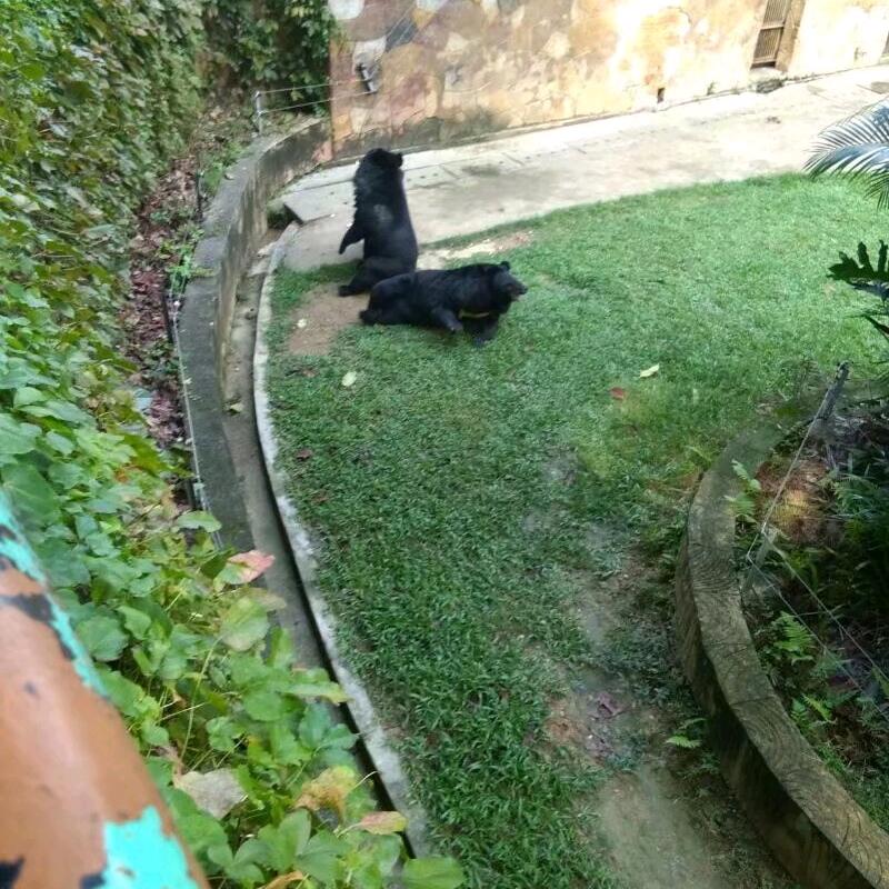 得心应手