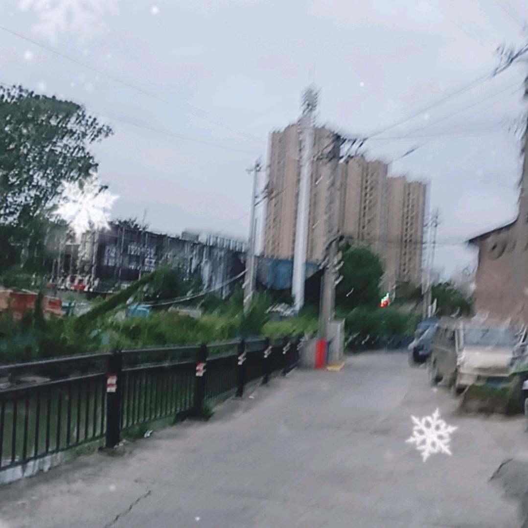 ⁰̴̷̷ ˙̮ 苍狼🐺 ⁰̴̷̷