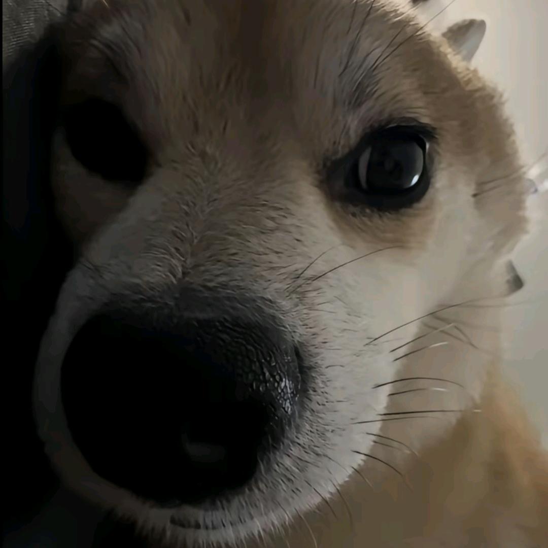 长安