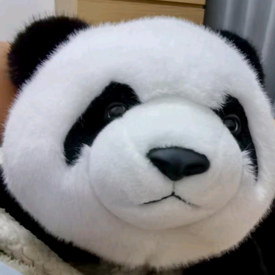 西柚特忙碌