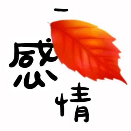 诗情中国（一叶情感：境内诗文专标）