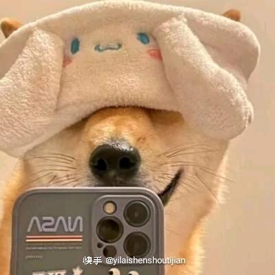 迷雾(火炬之光无限)