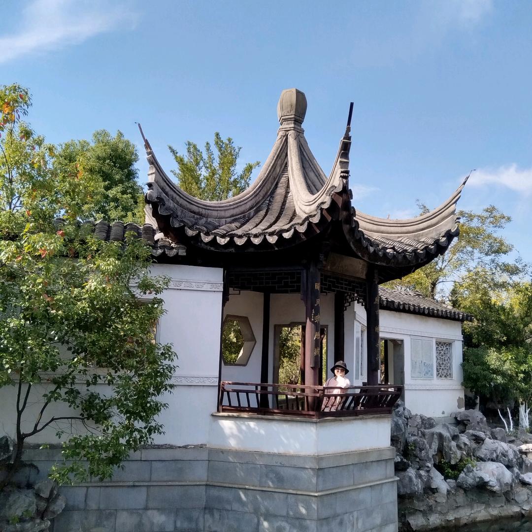 南楼孤雁