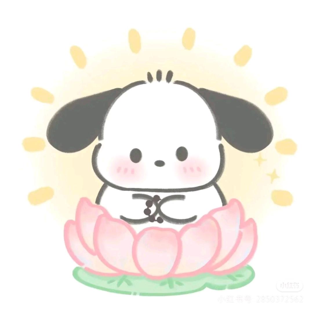 帕恰狗