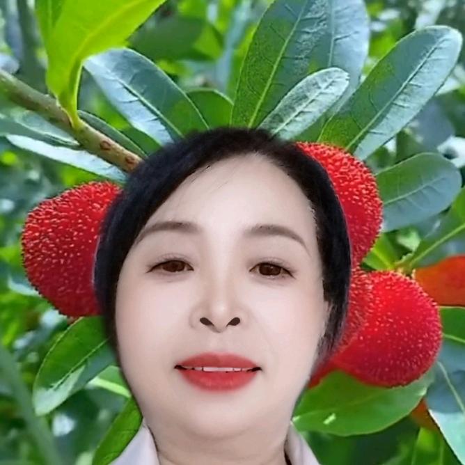 吉叶子