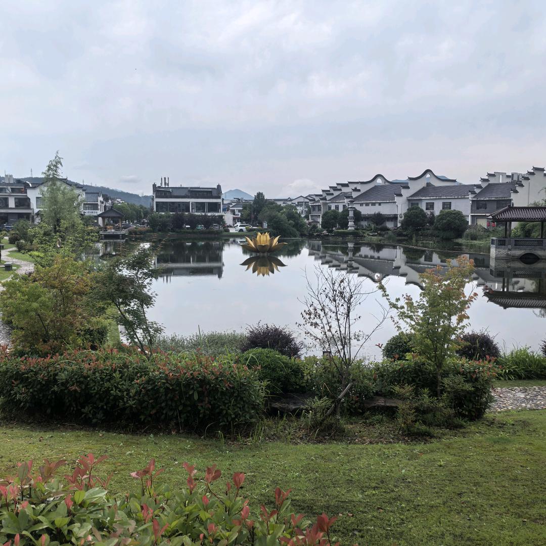 左耳听心🌸🌸