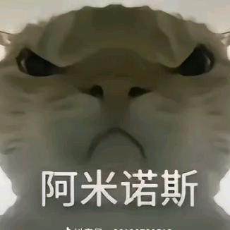 乐跑（三角洲代肝）