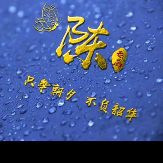 🔥静而不争⚡️