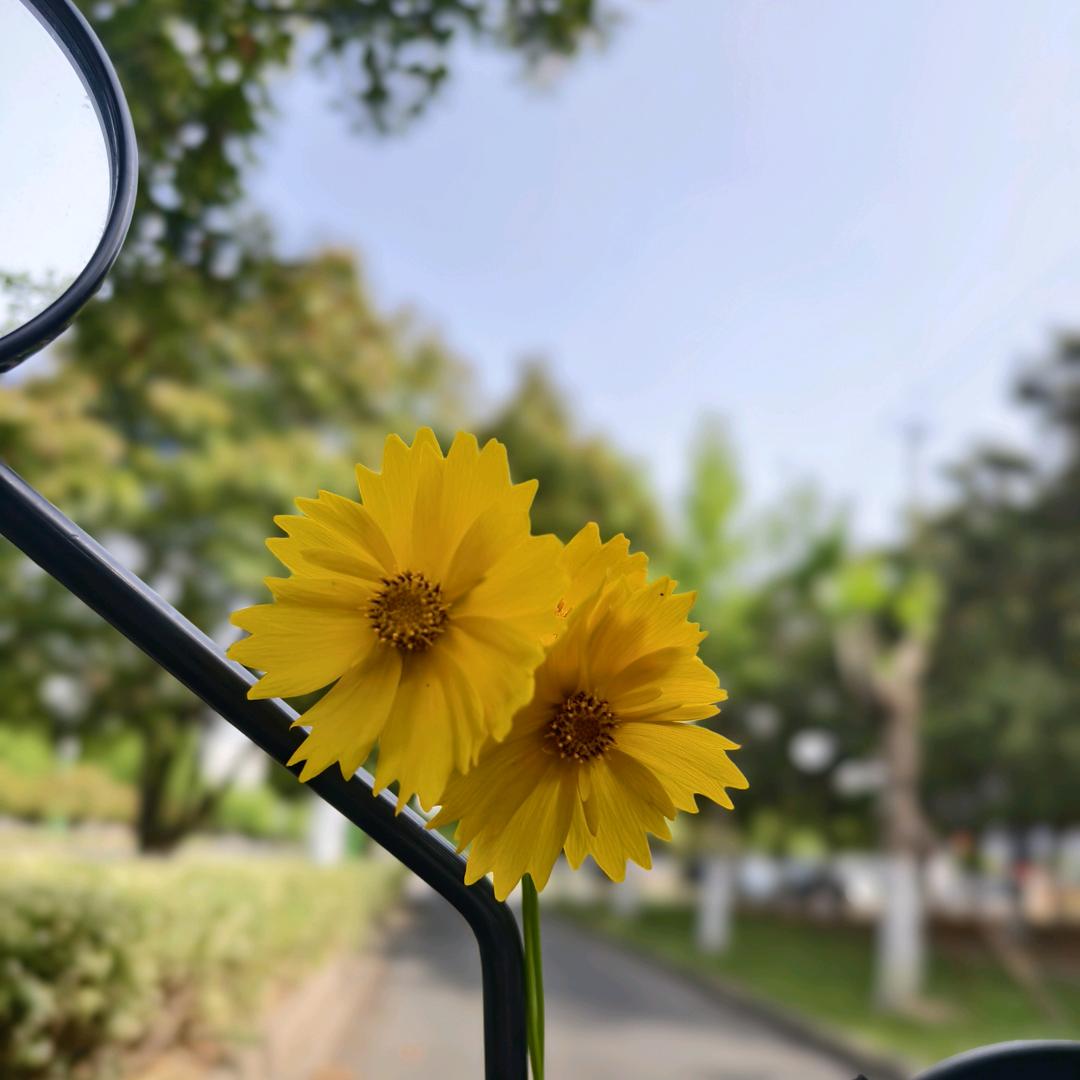 穎吖頭ᥫᩣ