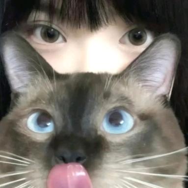 冷冰凝爱语梦翠霜