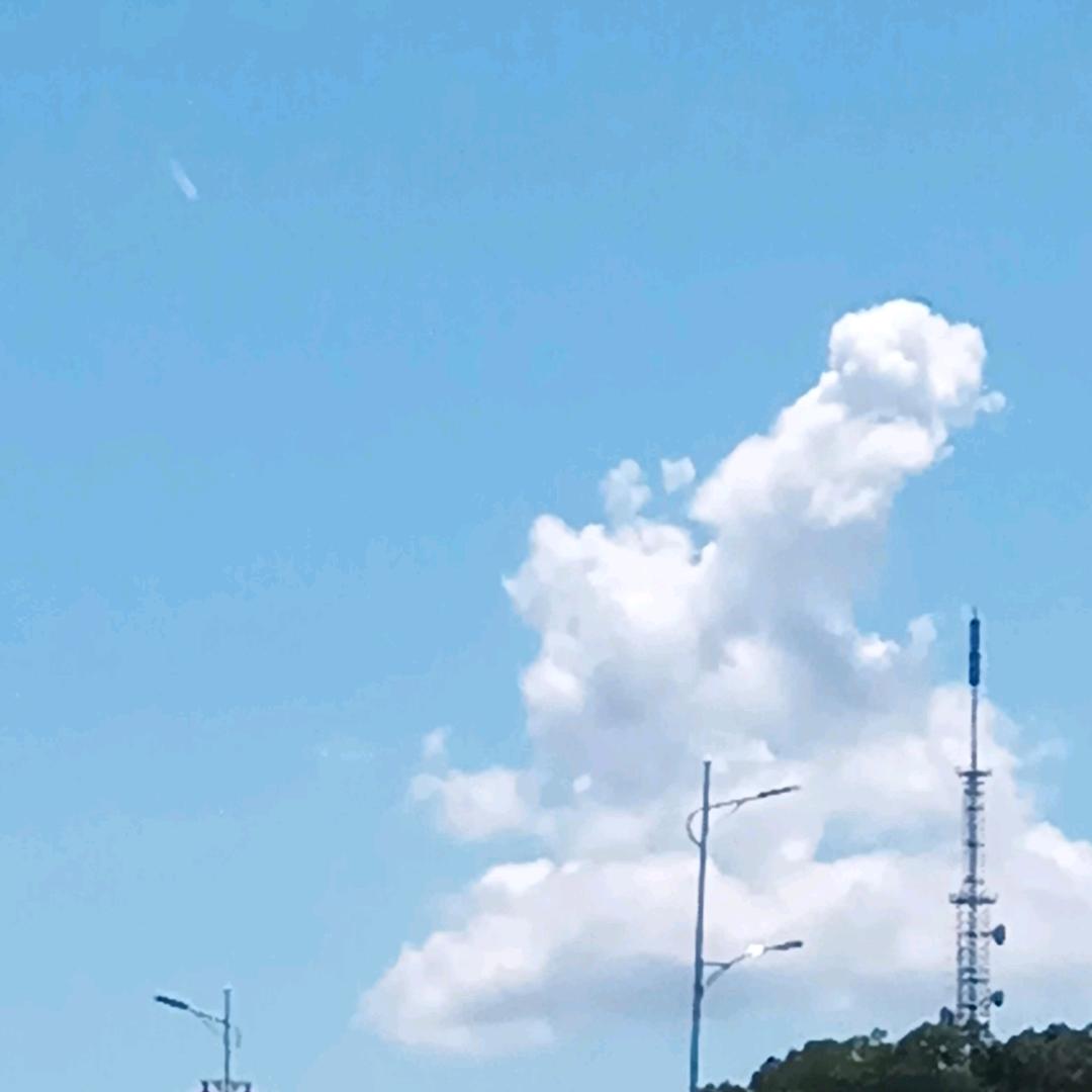红豹