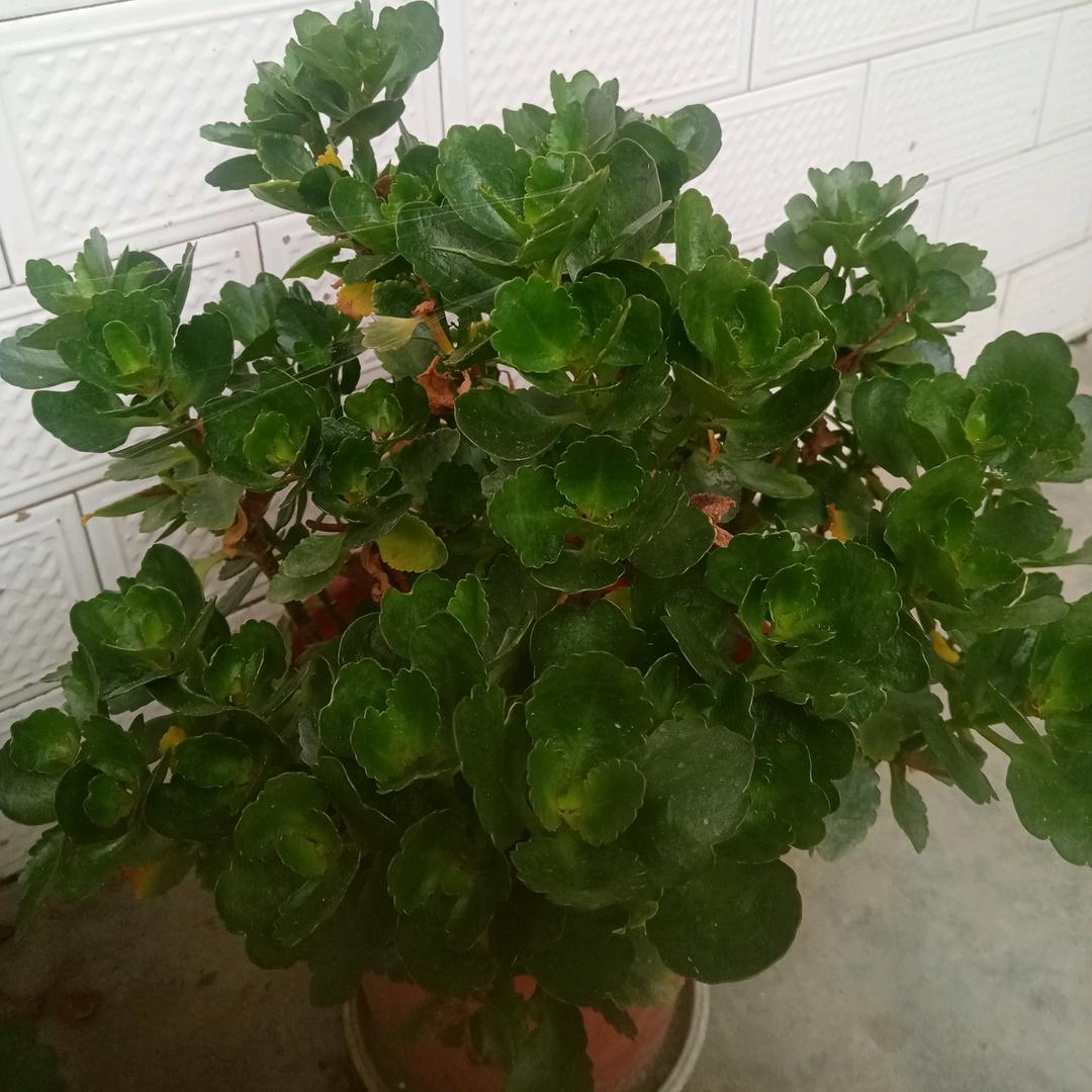 爱要有你才精彩（谭）